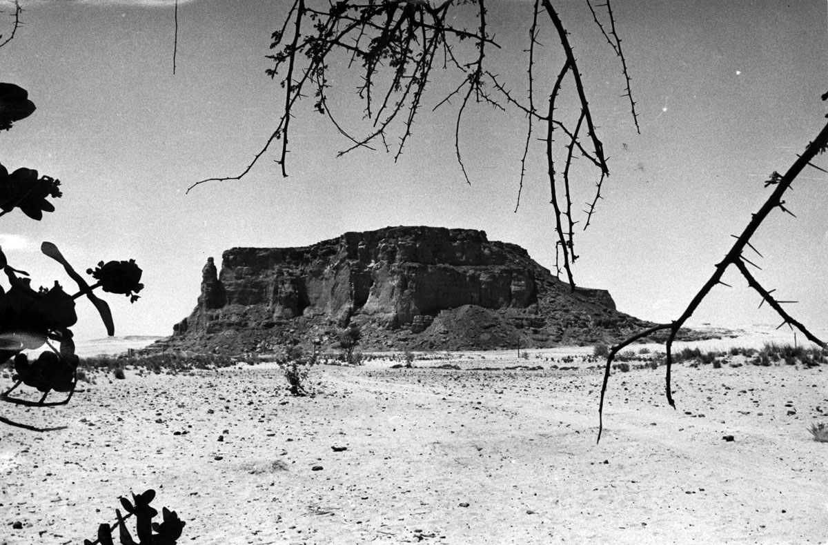 Veduta del versante orientale del Jebel Barkal dall’area di scavo dei templi